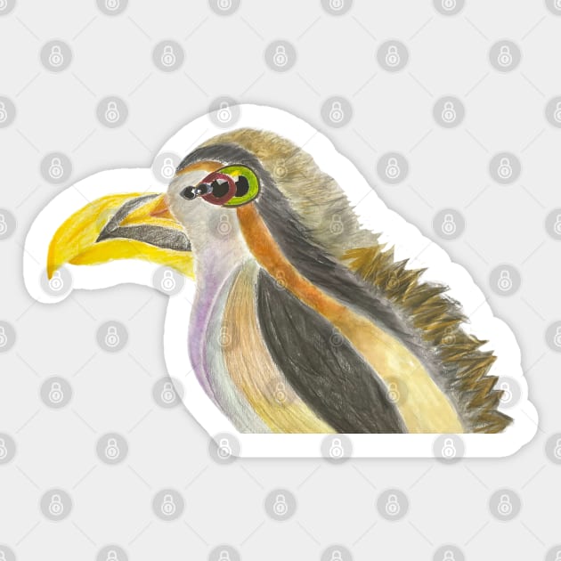 Morphological Bird Study - Hand-Drawn Pencil and Marker Art Sticker by TuncGK